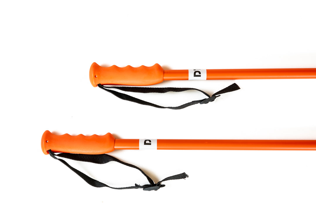 DTR Ski Pole Alloy